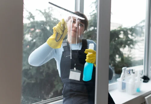 Nettoyage de vitres intérieures et extérieures à Saint-André-d'Apchon